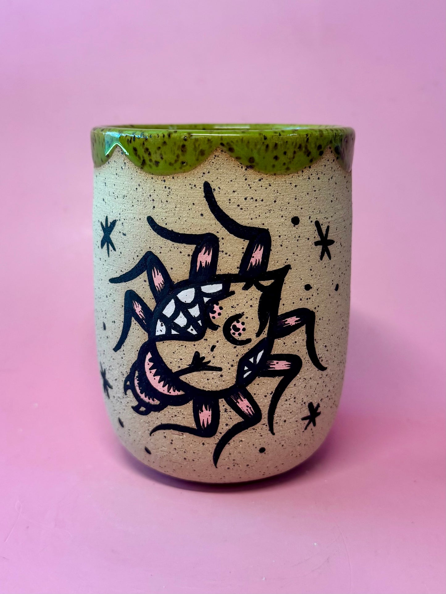 Spider Cup